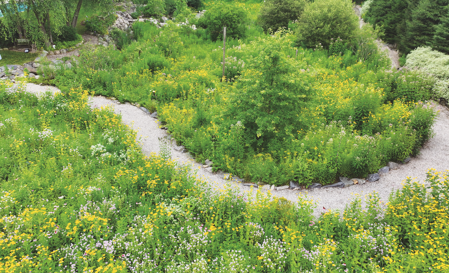 Meadow Road 　牧草地の道 Steve Zatz's Native Meadow — Bedford & New Canaan Magazine